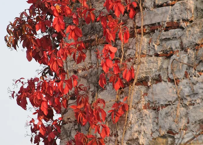 Megara Palace - Old Κωνσταντινούπολη